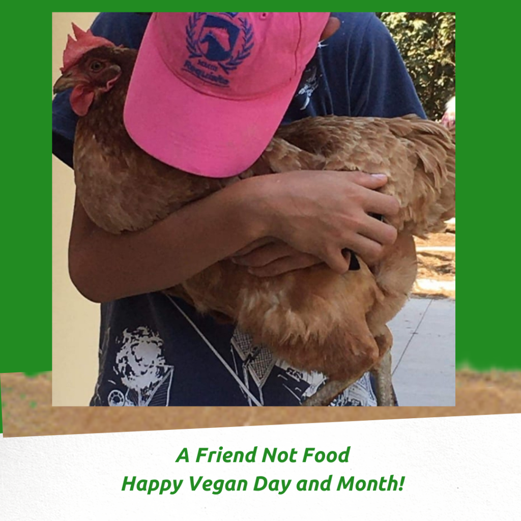 Celebrating the World Vegan Day on the 1st of November