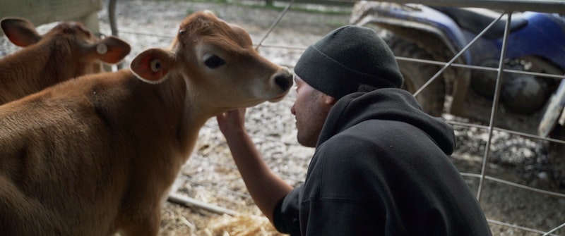 MILKED, a must-see new documentary exposes the dairy industry’s white lies